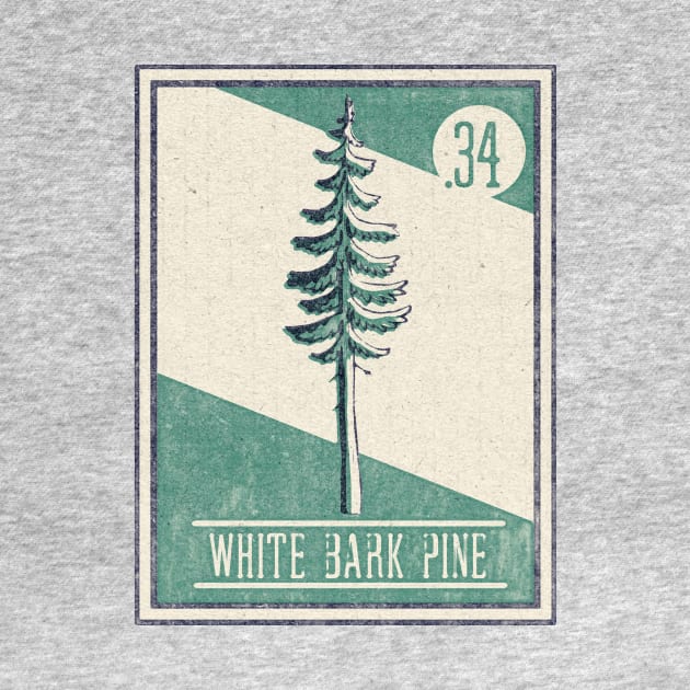 No. 34 White Bark Pine by theBenCorlett